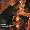 「Black Cherry」CD+DVD (完全限定生産盤)